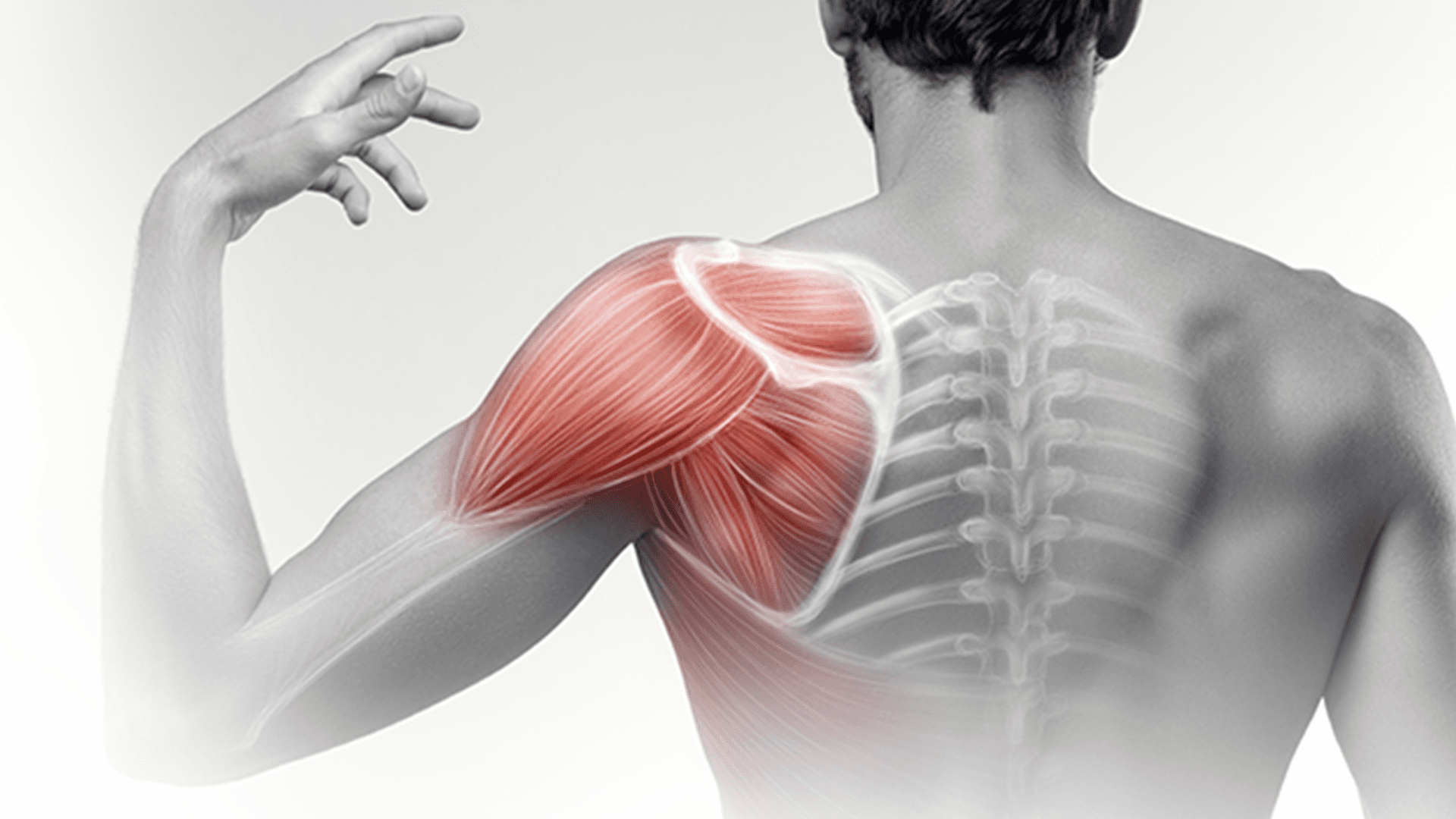 Physical therapy dashboard: Platforms