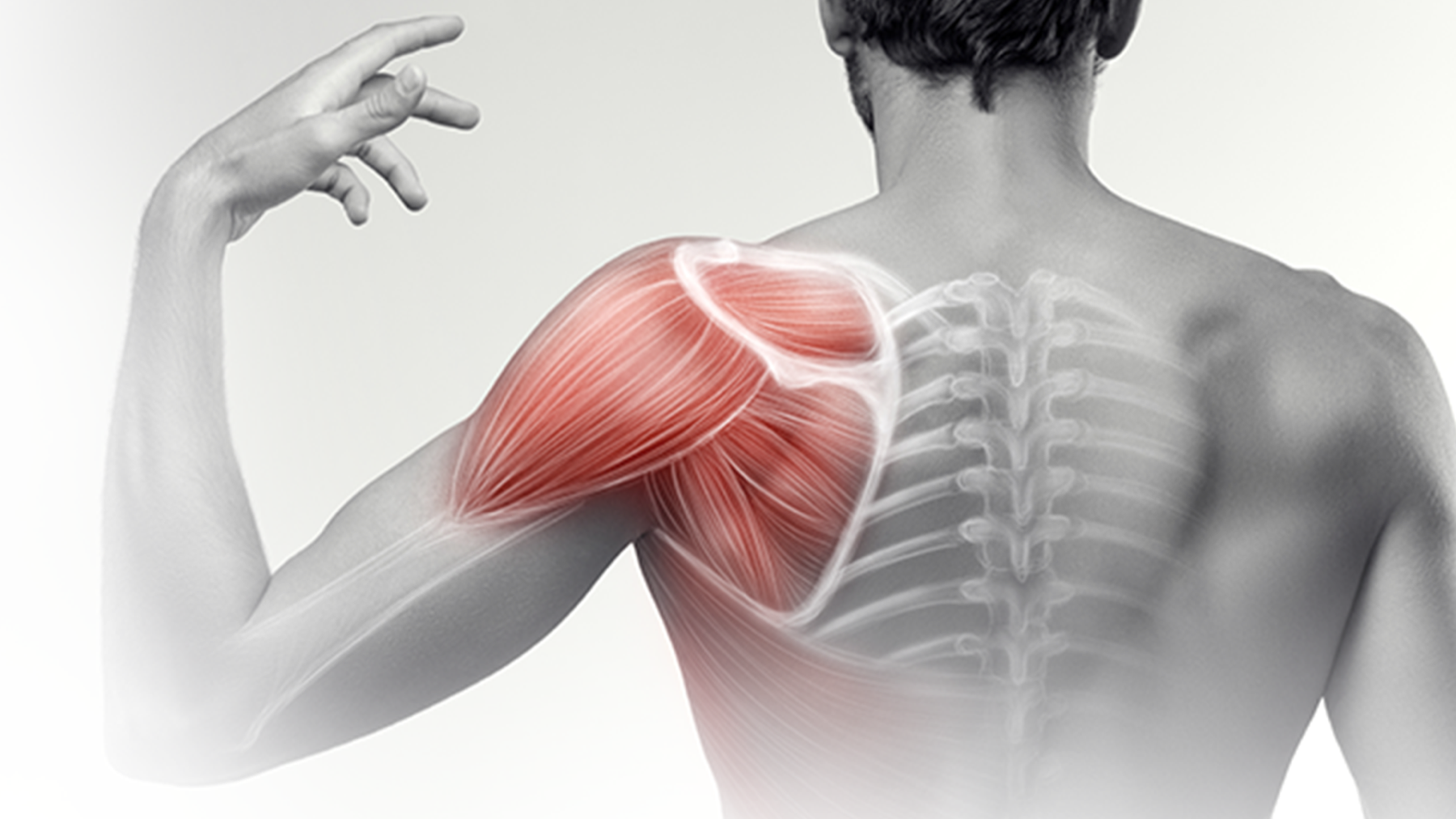 Physical therapy dashboard: Platforms